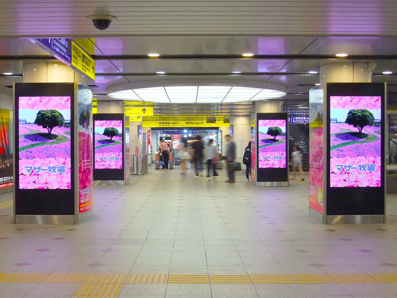 実例011［ステーションビジョン広告］画像｜マザー牧場様