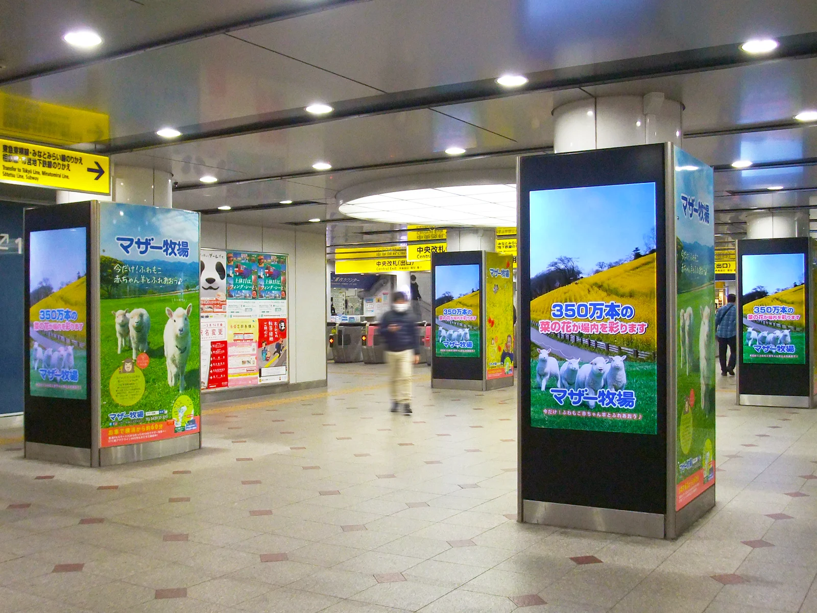 実例011［ステーションビジョン広告］画像｜マザー牧場様