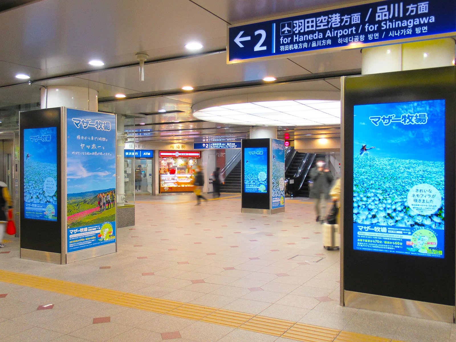 実例011［ステーションビジョン広告］画像｜マザー牧場様