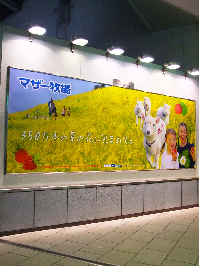 実例019［駅看板広告］画像｜マザー牧場様