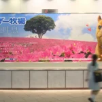 実例019［駅看板広告］画像｜マザー牧場様
