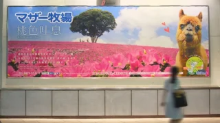 【実例】019｜京急BIGボード広告