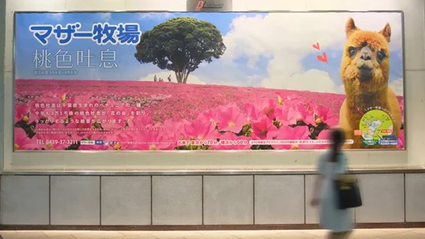 【実例】019｜京急BIGボード広告