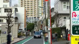 【コラム】ネット広告時代になぜ？<br>街の電柱広告が“最強の地域マーケティング”と言われる理由